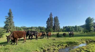 Home For Sale in Valley, Washington