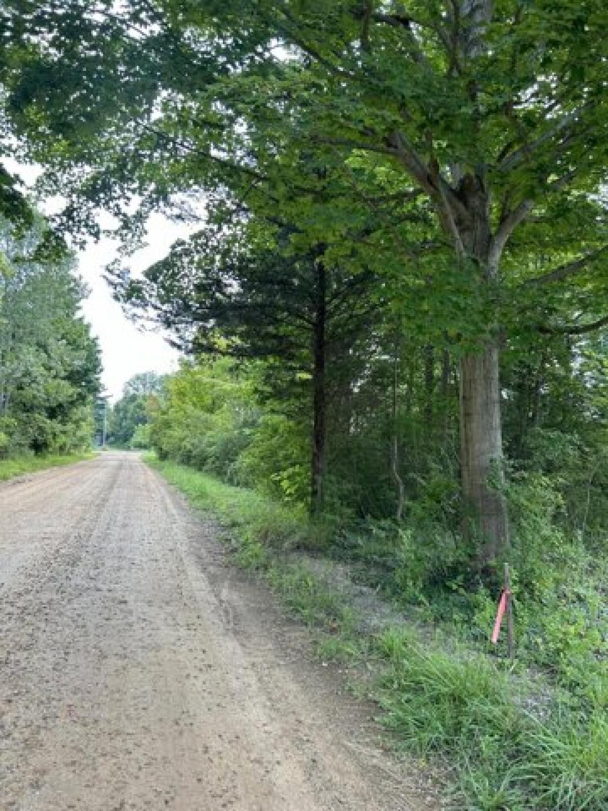 Picture of Residential Land For Sale in South Haven, Michigan, United States