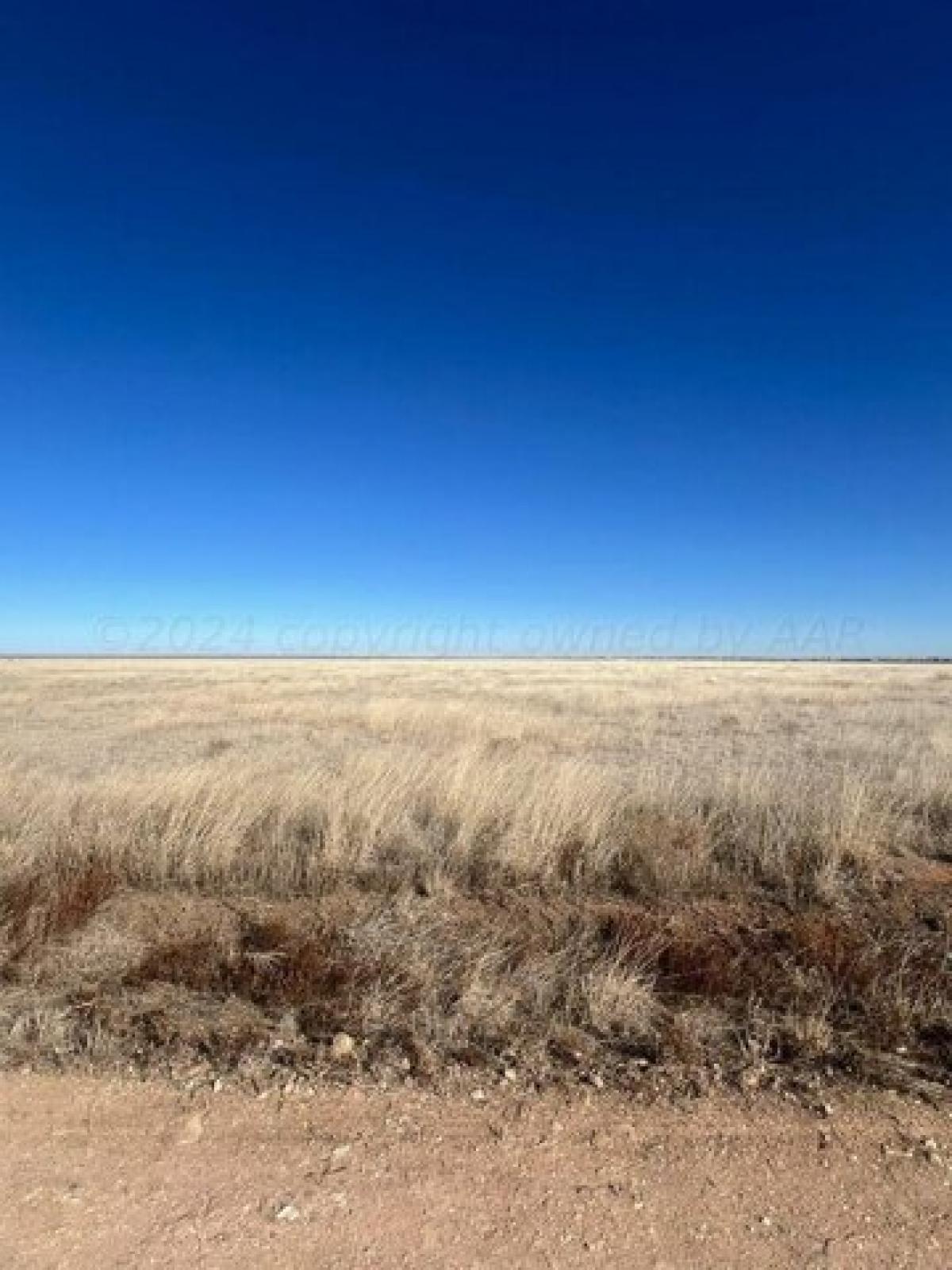 Picture of Residential Land For Sale in Dumas, Texas, United States