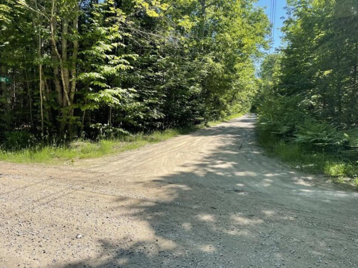 Picture of Residential Land For Sale in Newport, Maine, United States