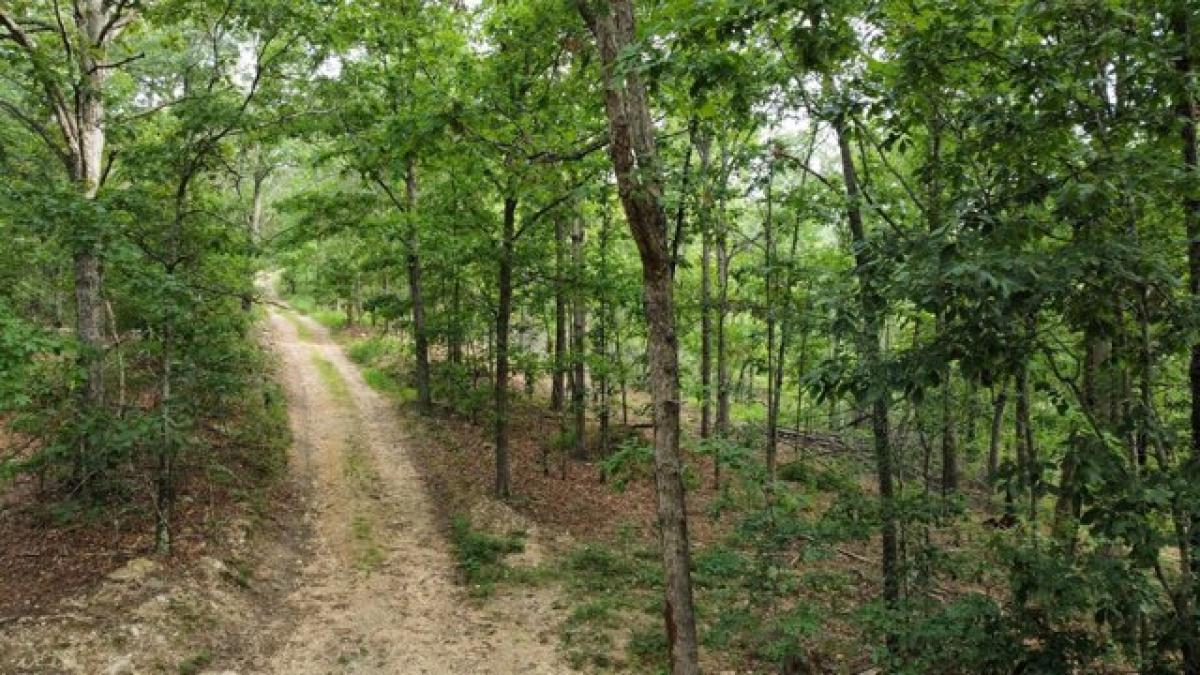 Picture of Residential Land For Sale in Van Buren, Missouri, United States