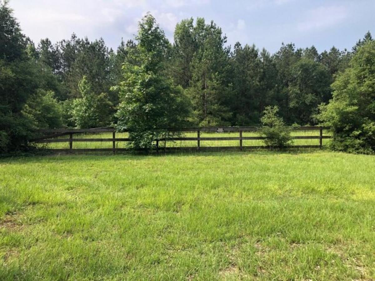 Picture of Residential Land For Sale in Village Mills, Texas, United States