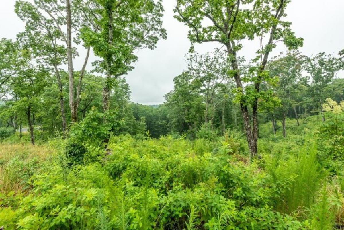 Picture of Residential Land For Sale in Talking Rock, Georgia, United States