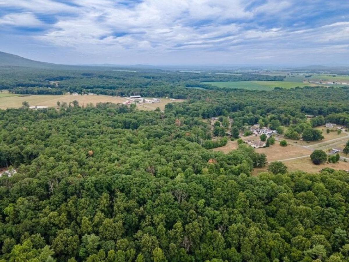 Picture of Residential Land For Sale in Elkton, Virginia, United States