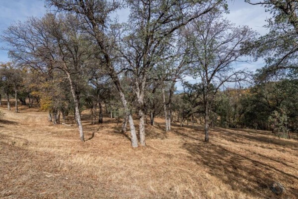 Picture of Residential Land For Sale in Auburn, California, United States