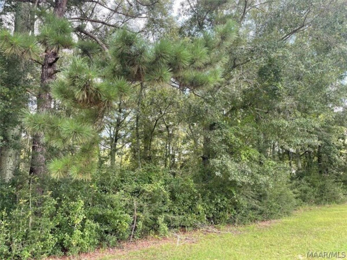 Picture of Residential Land For Sale in Coffee Springs, Alabama, United States