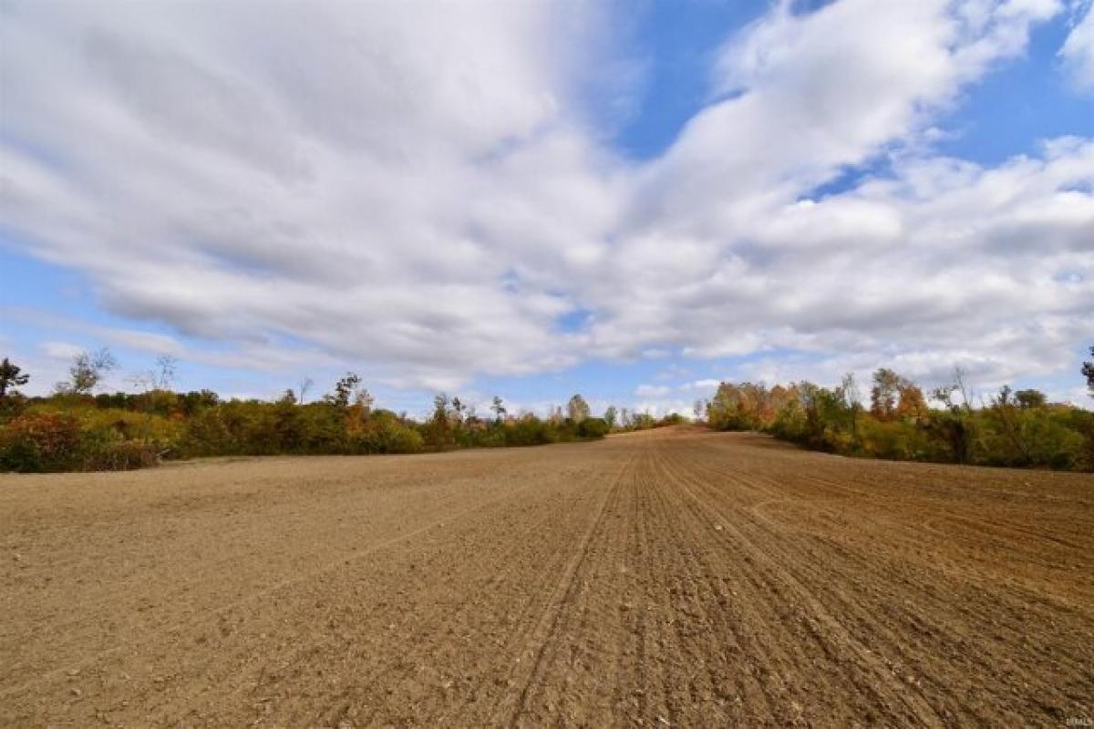 Picture of Residential Land For Sale in Hazleton, Indiana, United States