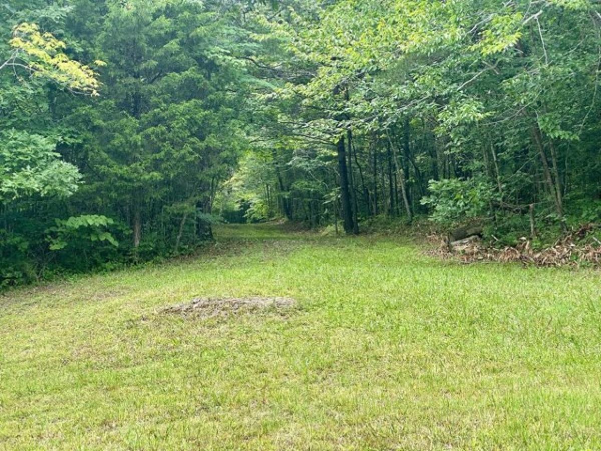 Picture of Residential Land For Sale in Monticello, Kentucky, United States