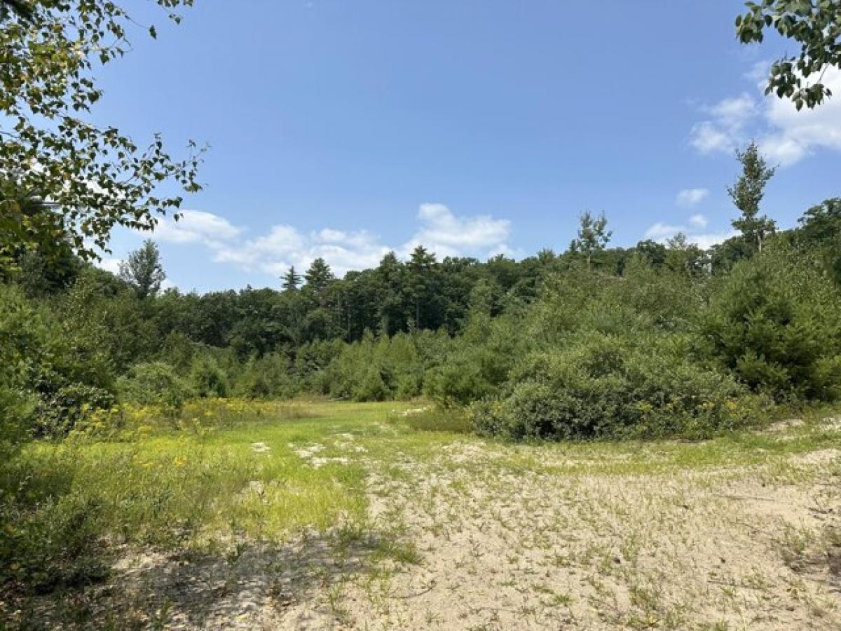 Picture of Residential Land For Sale in Acton, Maine, United States