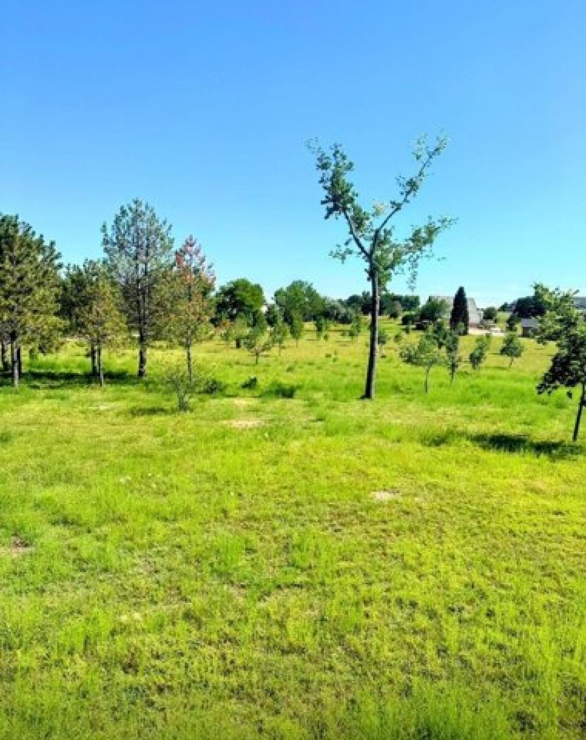 Picture of Residential Land For Sale in Brule, Nebraska, United States