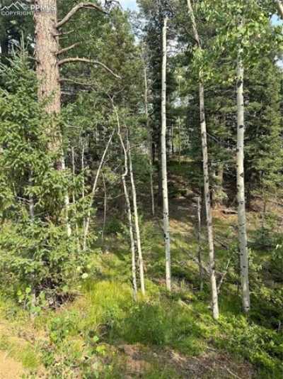 Residential Land For Sale in Florissant, Colorado