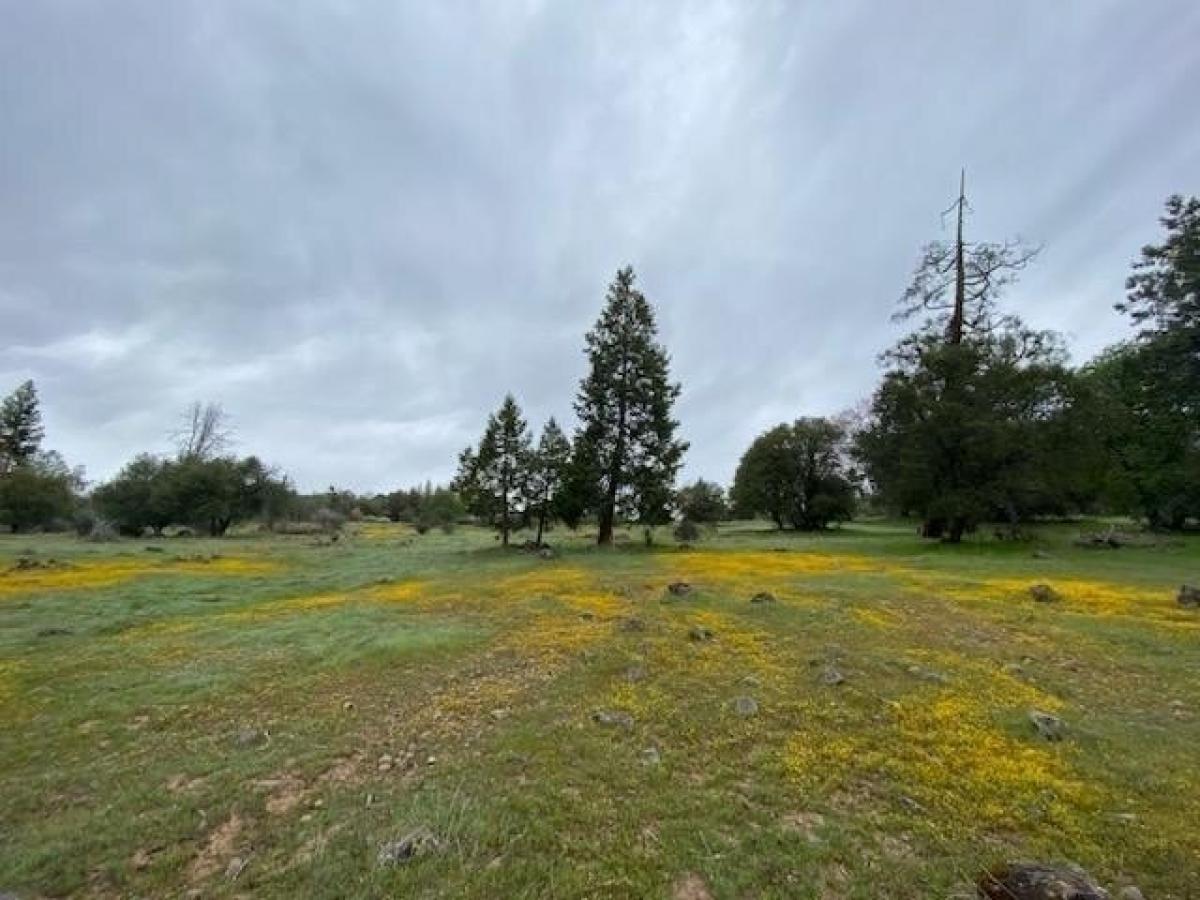 Picture of Home For Sale in Fiddletown, California, United States