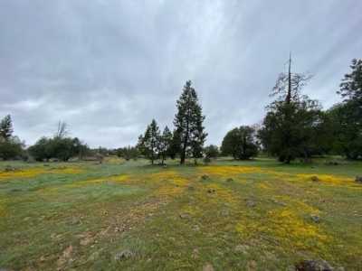 Home For Sale in Fiddletown, California