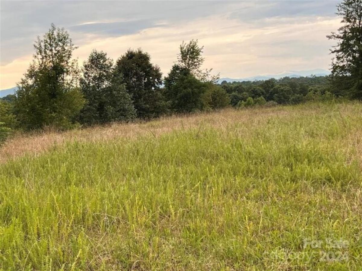 Picture of Residential Land For Sale in Tryon, North Carolina, United States