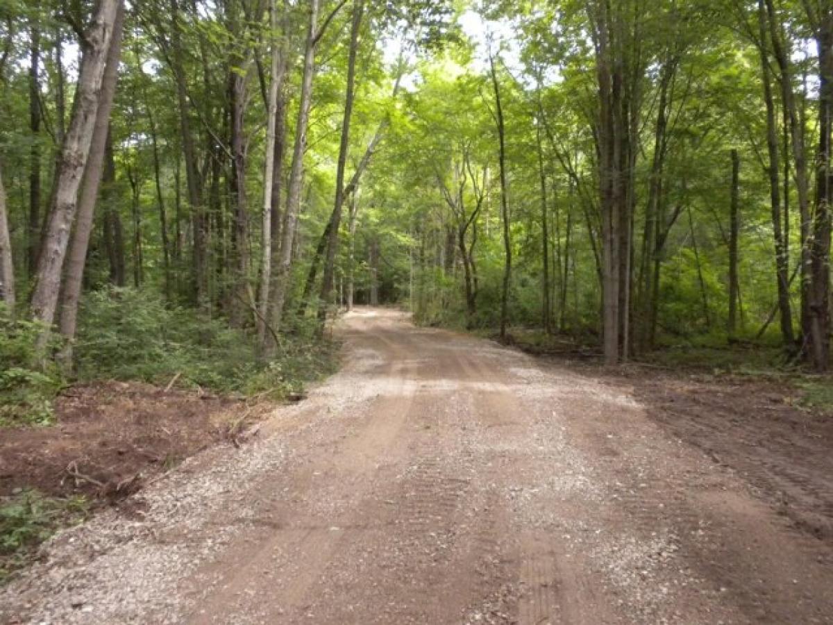 Picture of Residential Land For Sale in Saugatuck, Michigan, United States