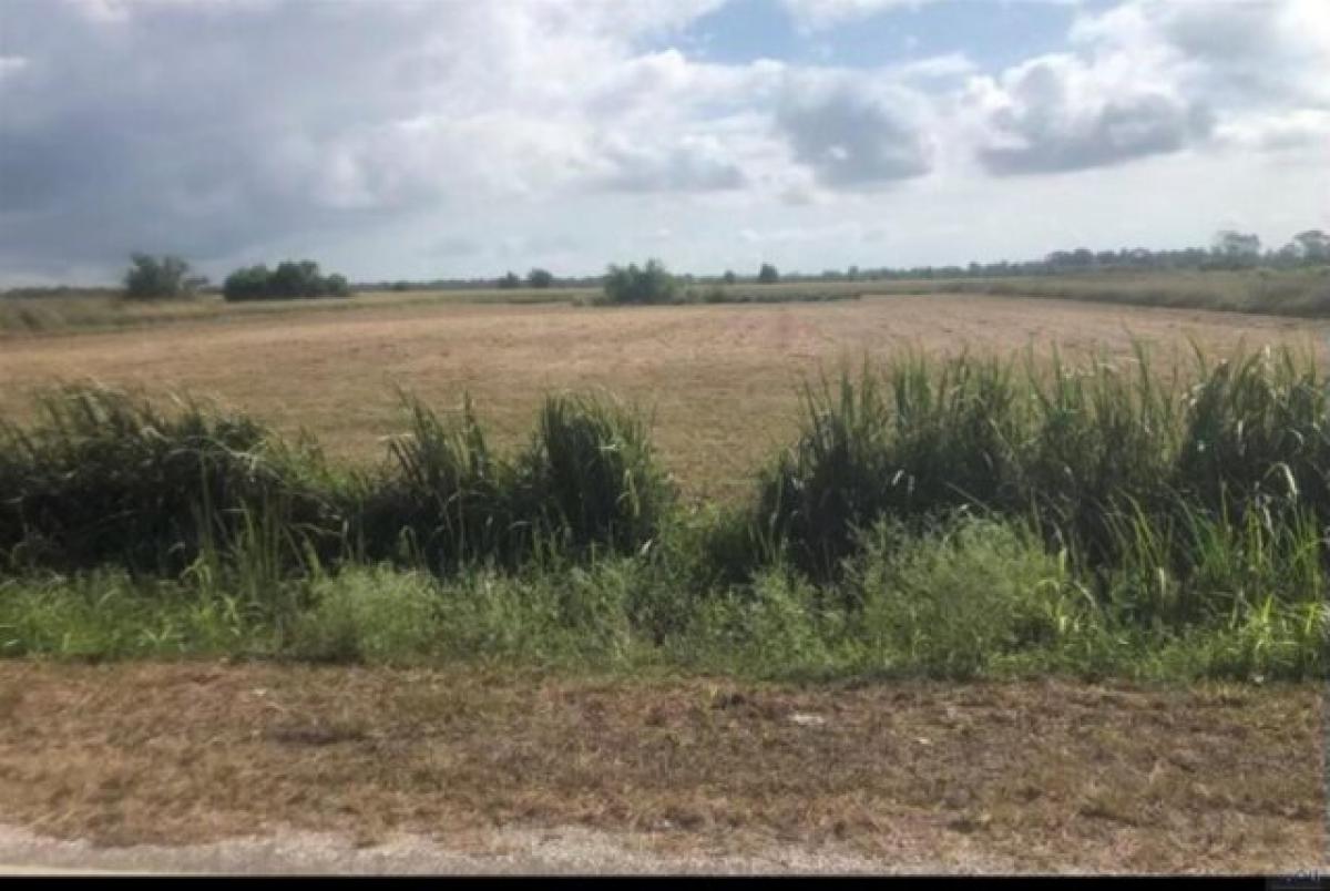 Picture of Residential Land For Sale in Raceland, Louisiana, United States