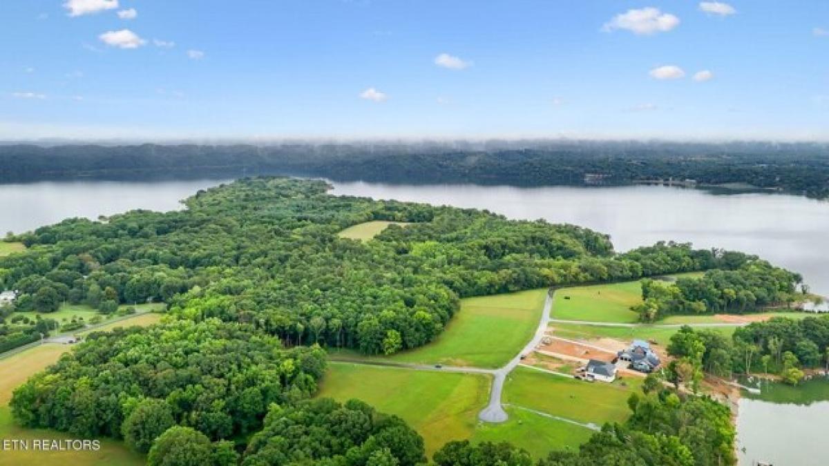 Picture of Residential Land For Sale in White Pine, Tennessee, United States