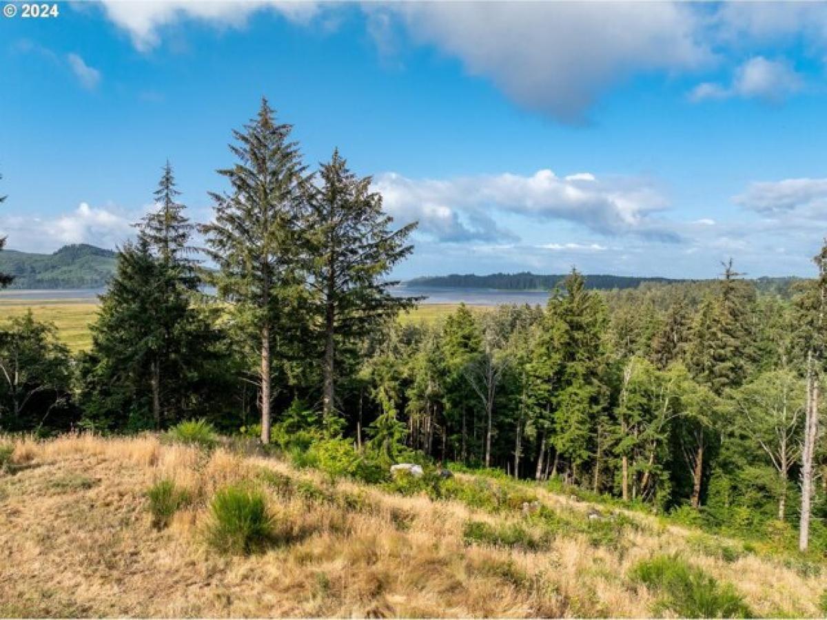 Picture of Residential Land For Sale in Nehalem, Oregon, United States