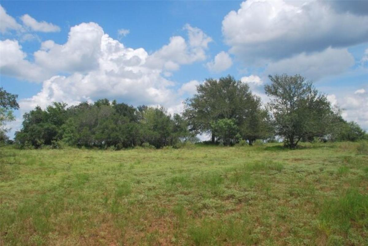 Picture of Residential Land For Sale in Flatonia, Texas, United States