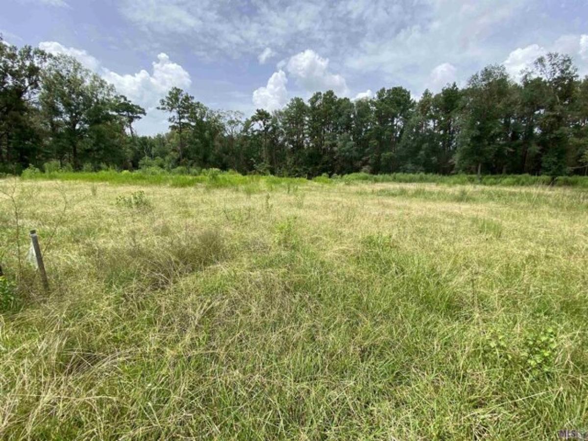 Picture of Residential Land For Sale in Holden, Louisiana, United States