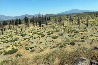 Residential Land For Sale in Weed, California