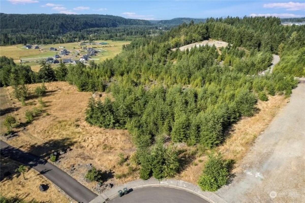 Picture of Residential Land For Sale in Orting, Washington, United States