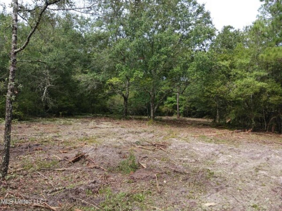 Picture of Residential Land For Sale in Lumberton, Mississippi, United States