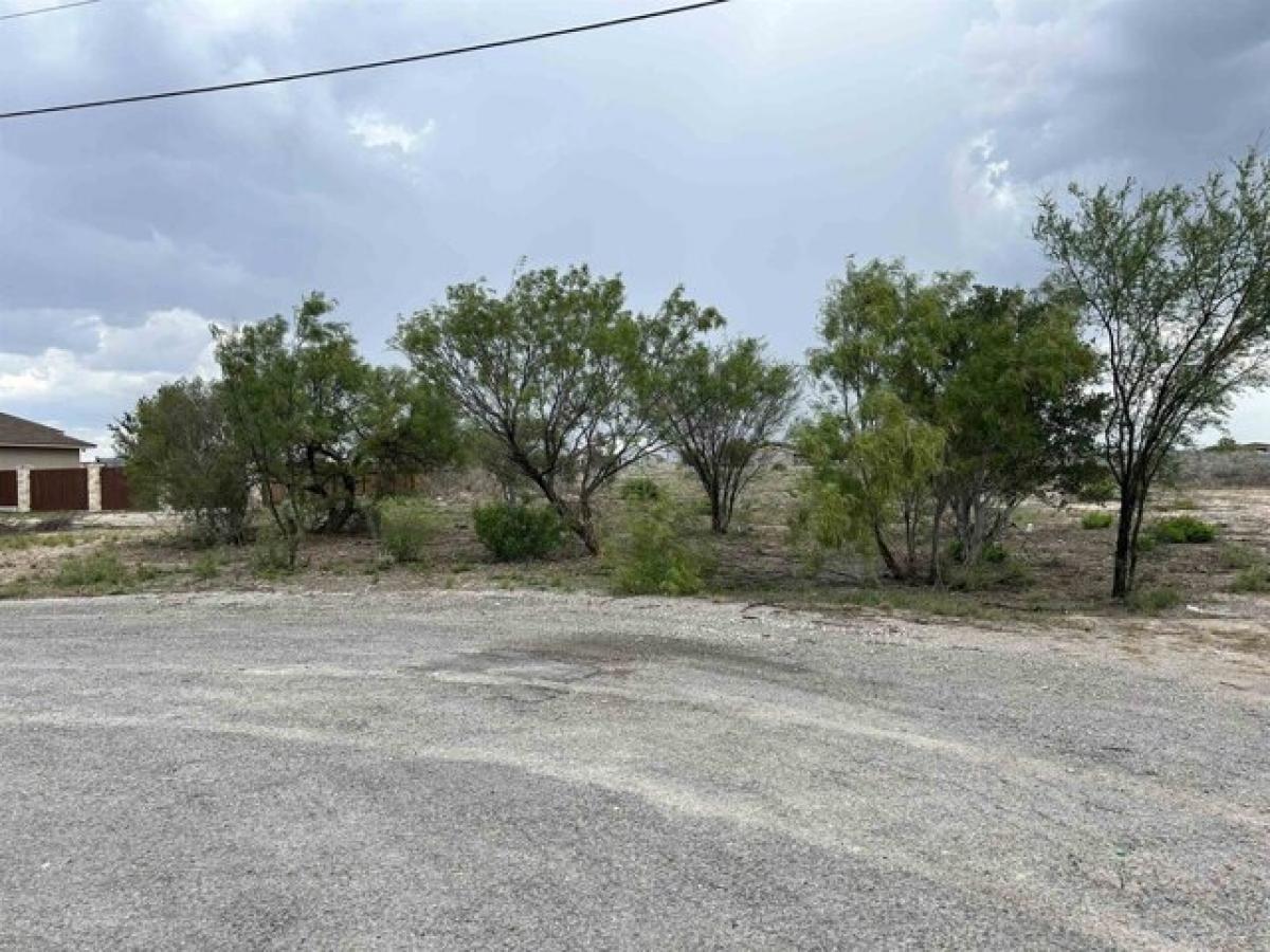 Picture of Residential Land For Sale in Del Rio, Texas, United States