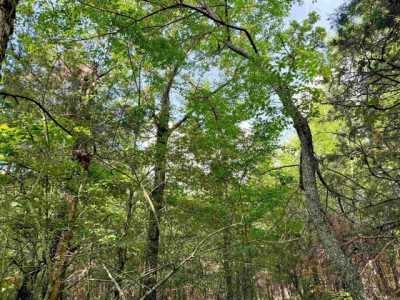 Residential Land For Sale in Bee Branch, Arkansas