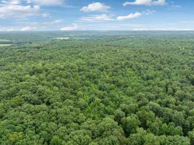 Residential Land For Sale in Summertown, Tennessee