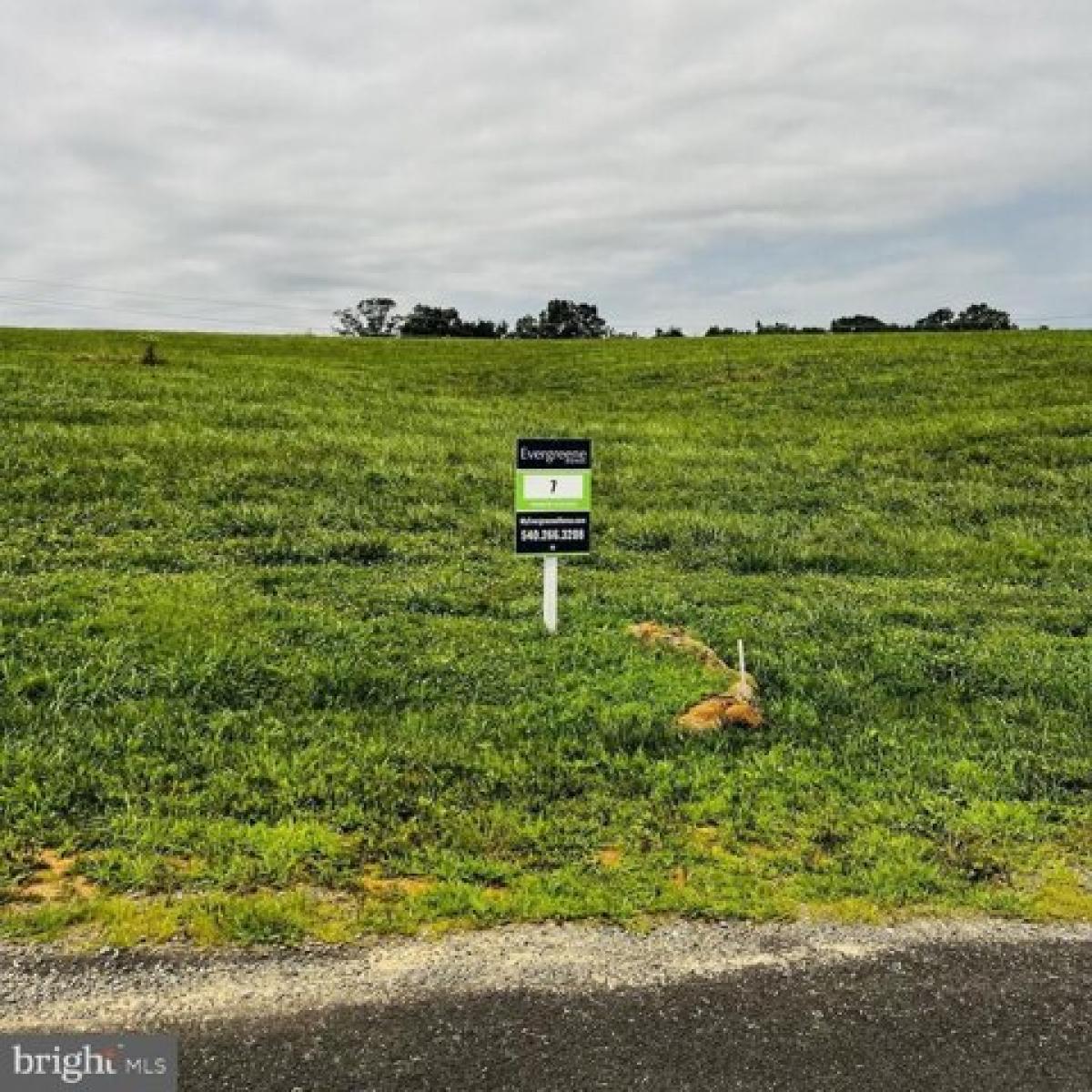 Picture of Residential Land For Sale in Mineral, Virginia, United States