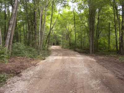 Residential Land For Sale in Saugatuck, Michigan