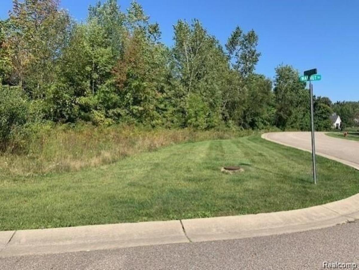 Picture of Residential Land For Sale in Grand Blanc, Michigan, United States