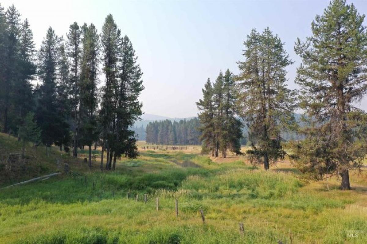 Picture of Residential Land For Sale in Elk City, Idaho, United States