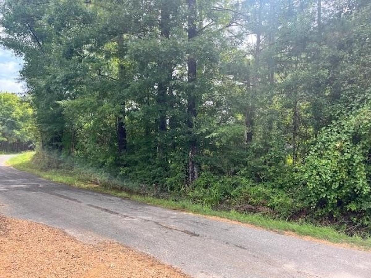 Picture of Residential Land For Sale in Ruth, Mississippi, United States