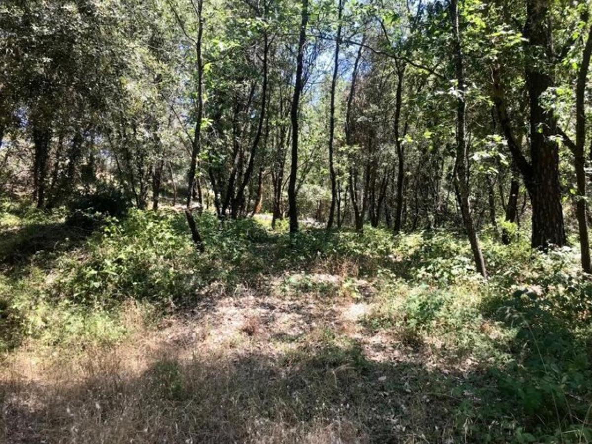 Picture of Residential Land For Sale in Placerville, California, United States