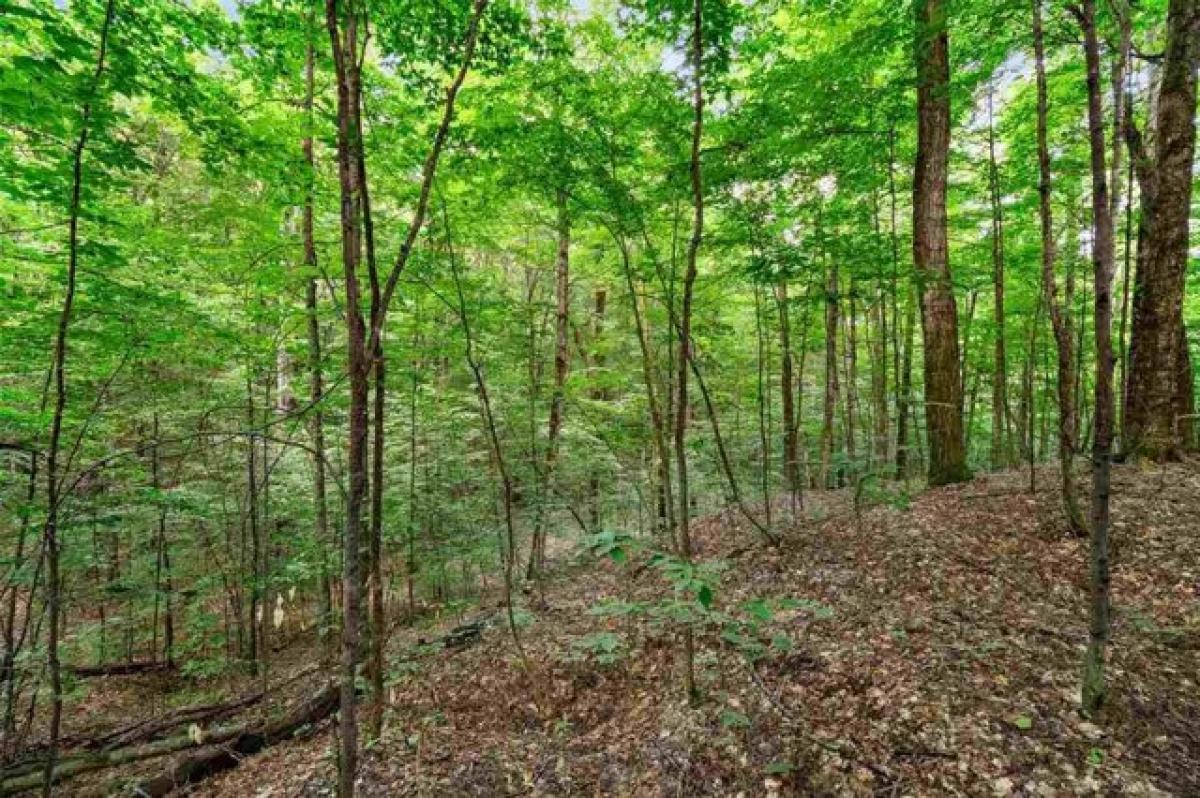 Picture of Residential Land For Sale in Harbor Springs, Michigan, United States