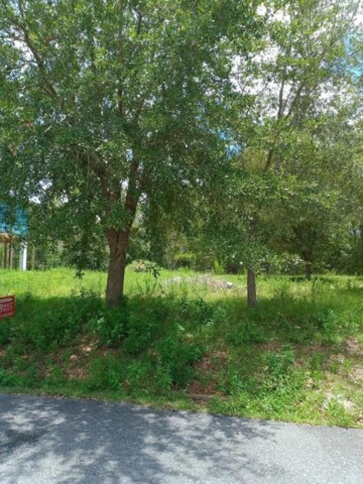 Picture of Residential Land For Sale in Steinhatchee, Florida, United States