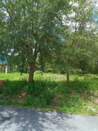 Residential Land For Sale in Steinhatchee, Florida