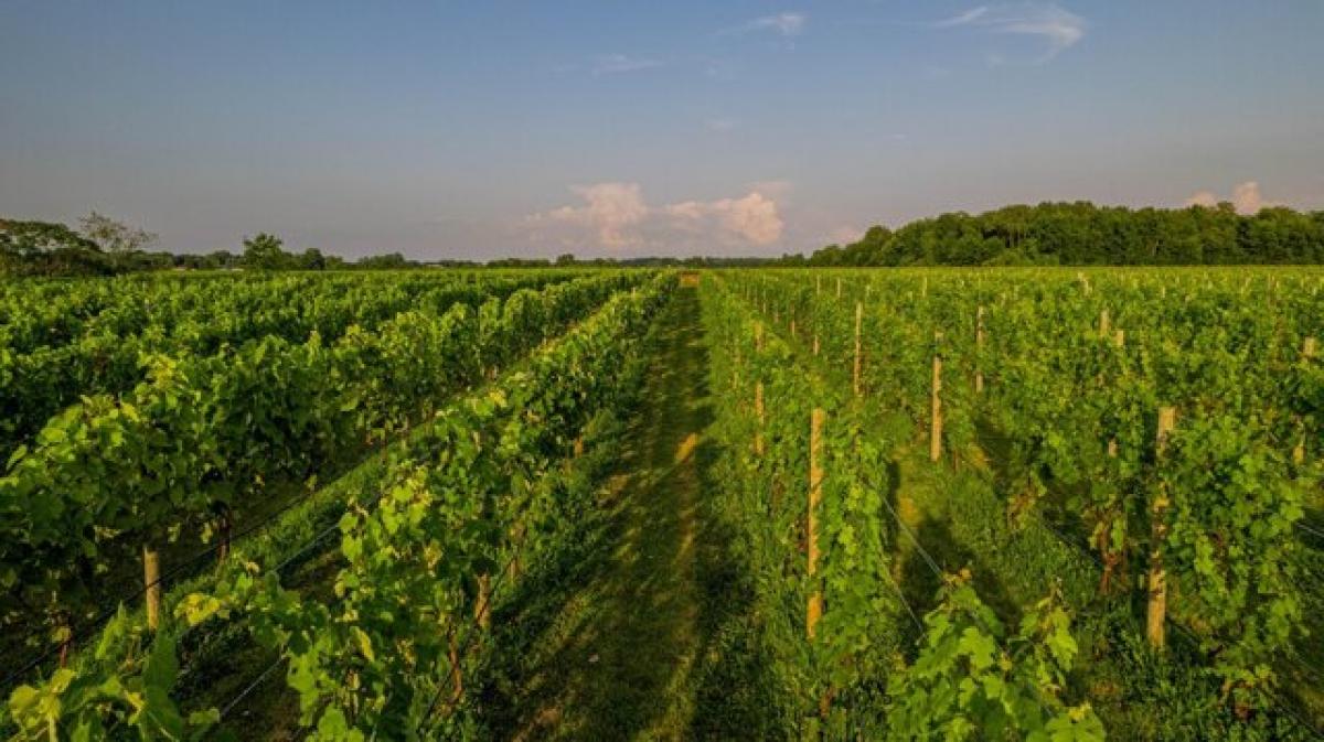 Picture of Residential Land For Sale in Berrien Springs, Michigan, United States