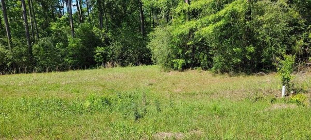 Picture of Residential Land For Sale in Carriere, Mississippi, United States