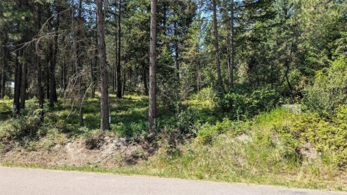 Picture of Residential Land For Sale in Lakeside, Montana, United States