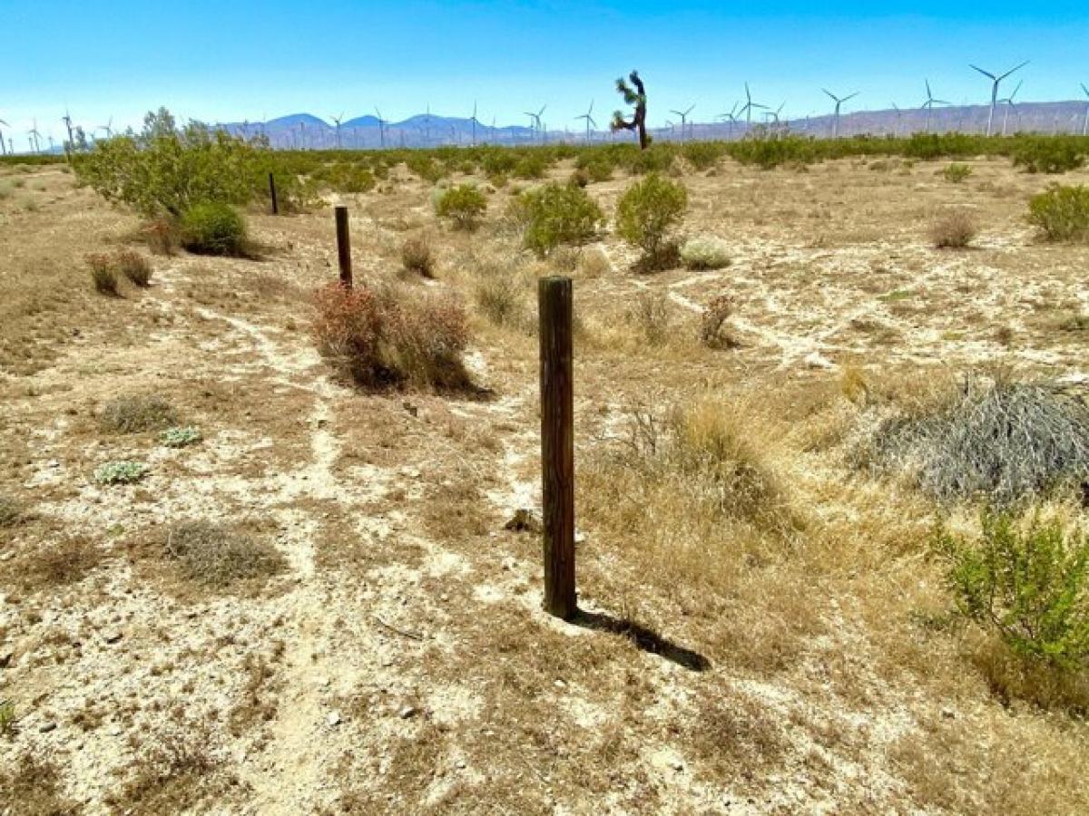 Picture of Residential Land For Sale in Mojave, California, United States