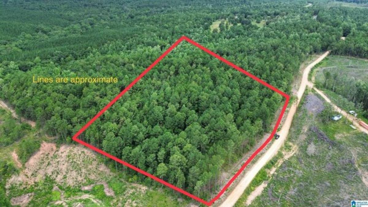 Picture of Residential Land For Sale in Clanton, Alabama, United States