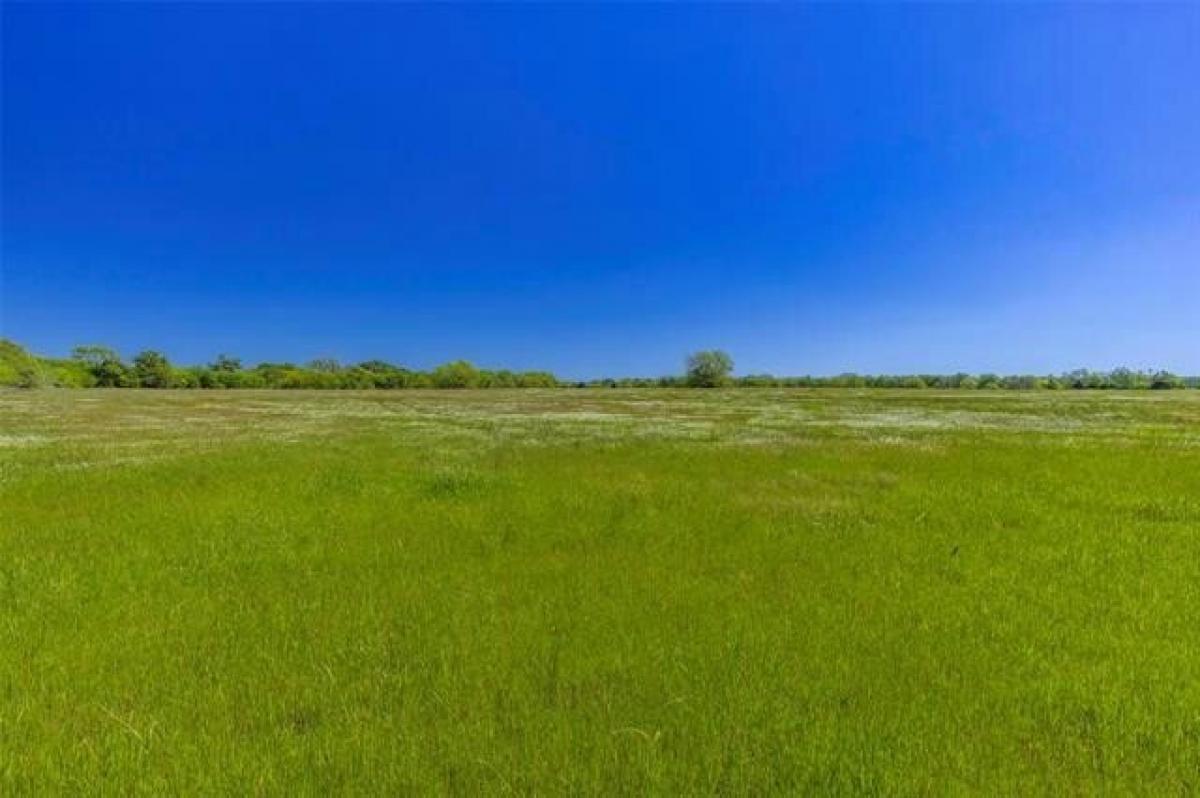 Picture of Residential Land For Sale in Greenville, Texas, United States