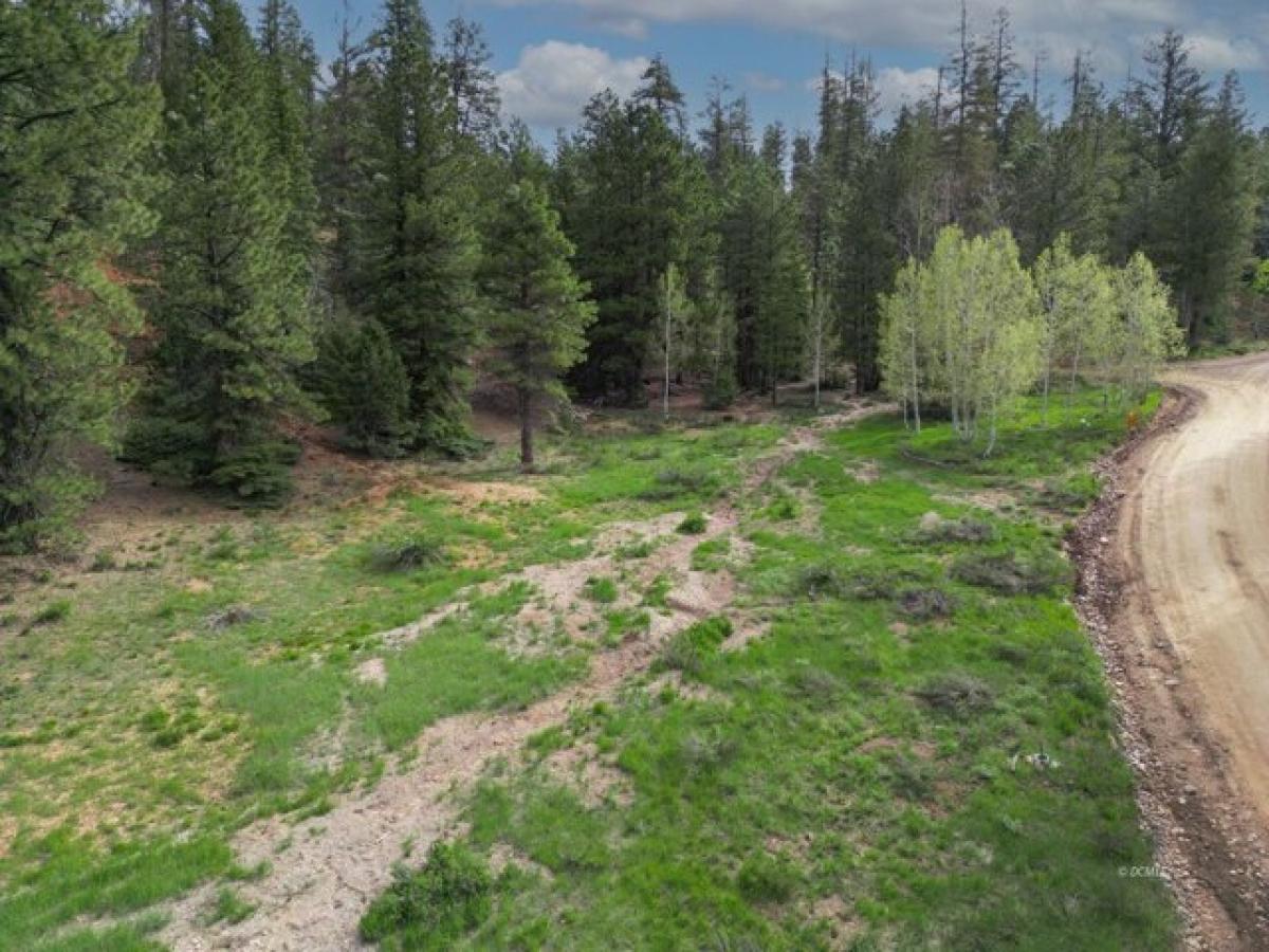 Picture of Residential Land For Sale in Duck Creek Village, Utah, United States