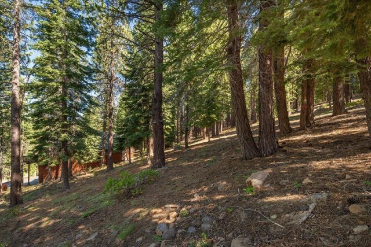 Picture of Residential Land For Sale in Truckee, California, United States