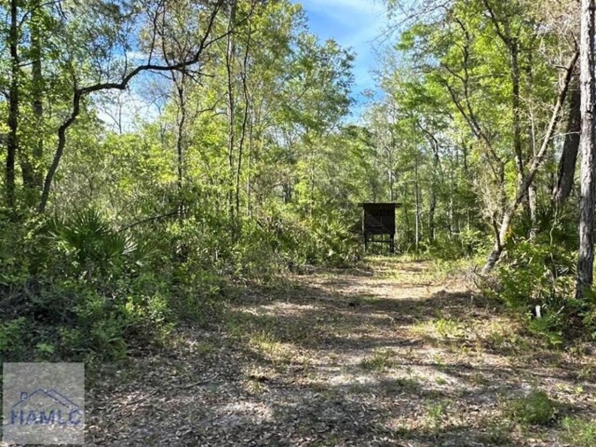 Picture of Residential Land For Sale in Jesup, Georgia, United States