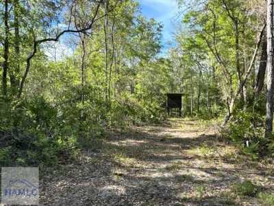 Residential Land For Sale in Jesup, Georgia