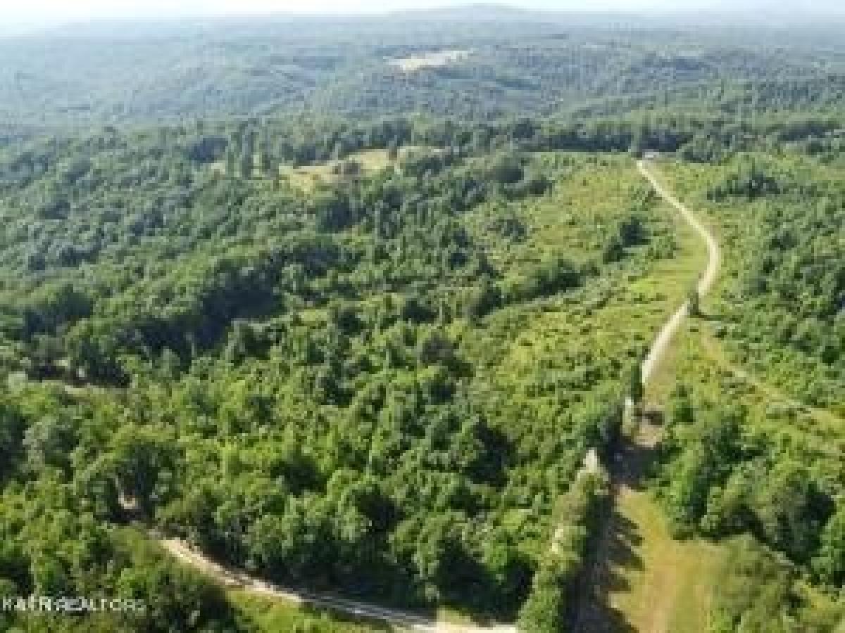 Picture of Residential Land For Sale in Robbins, Tennessee, United States